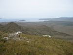 south coast track looking back from the ironbound range